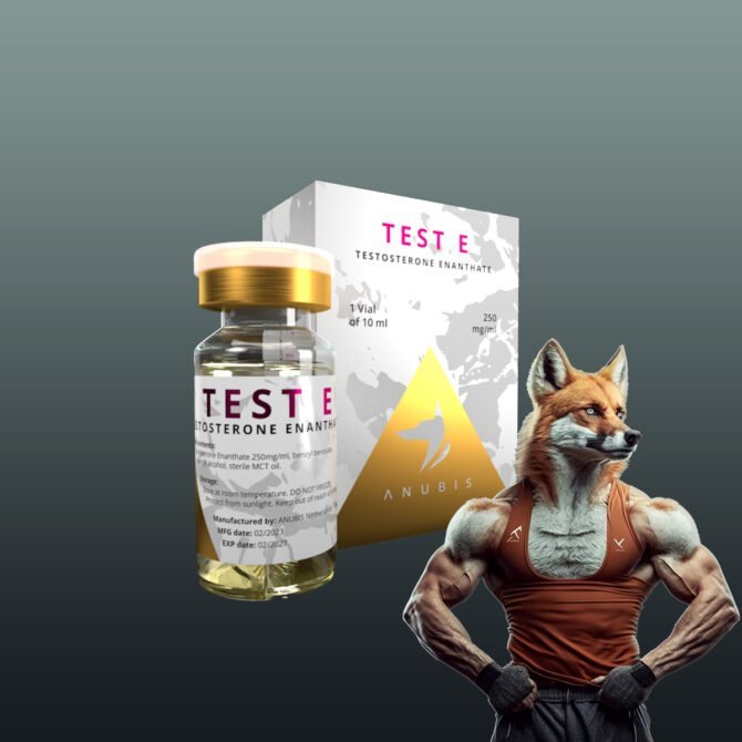 Test E Testosteron Enanthat (Injizierbare Steroide)